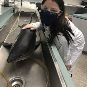 Meet your Posher, Abby